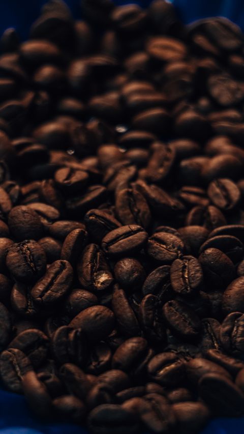 /images/FoodProduct/2-11.jpg